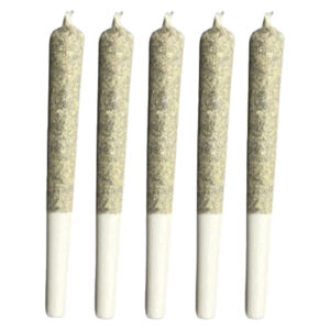 SLEEPING WITH THE STARS PRE-ROLL