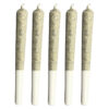 SLEEPING WITH THE STARS PRE-ROLL