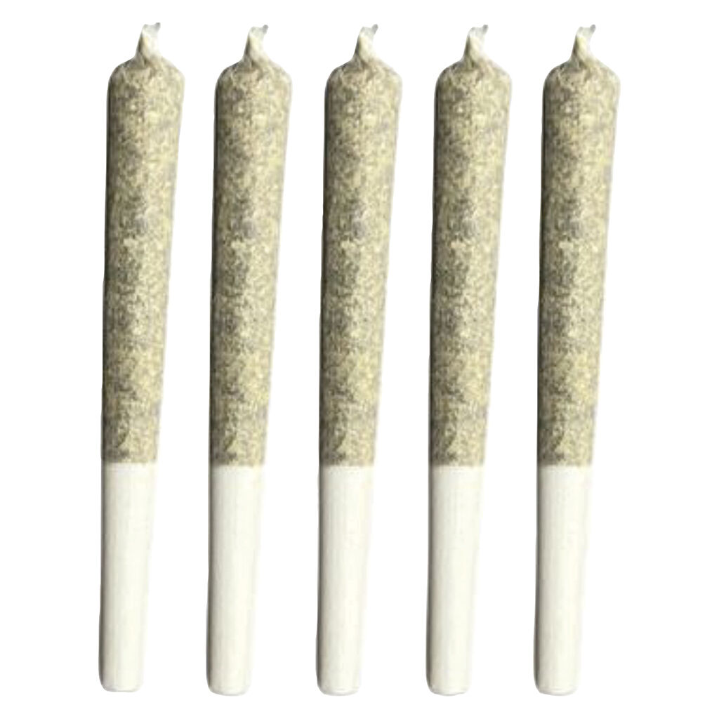 SLEEPING WITH THE STARS PRE-ROLL