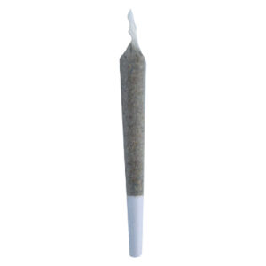 PEGGYS PUFF PRE-ROLL - 1x0.5g