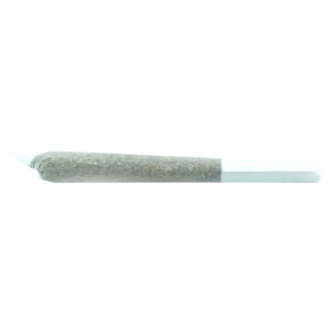 TRUFFLE TREATS PRE-ROLL - 1x0.5g