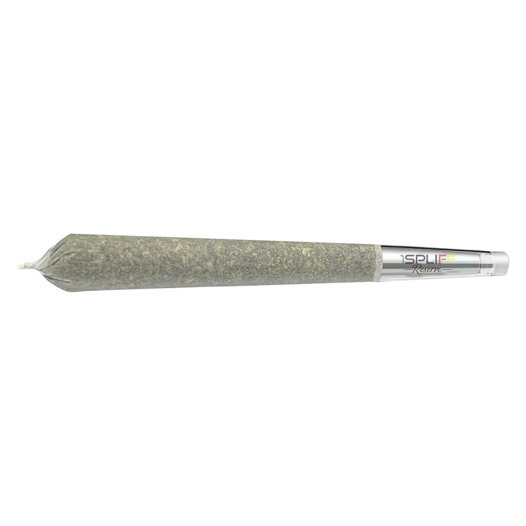 CANDY RAIN PREMIUM GLASS TIP PRE-ROLL - 5x0.6g