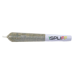 PINK LEMONADE PRE-ROLL - 7x0.5g