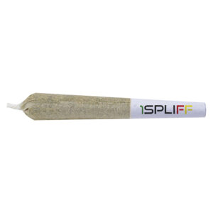 Fuel & Flower Cannabis