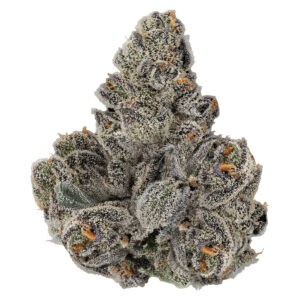 GASTRO POP - 3.5g