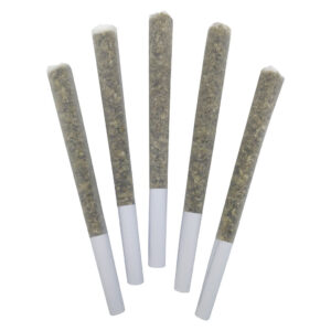 SWEET JESUS PRE-ROLL
