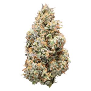 SATIVA