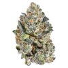 INDICA - 14g