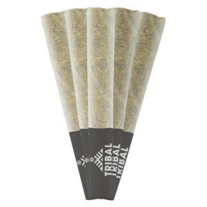 Fuel & Flower Cannabis
