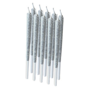 ROGUE PRE-ROLL