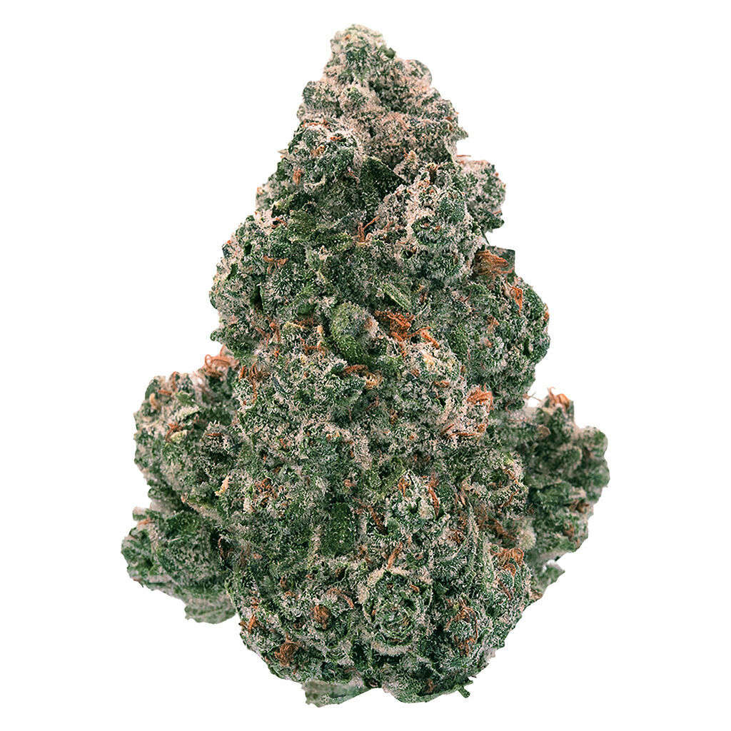 LIQUID IMAGINATION - 14g
