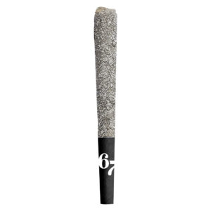 67 SINDICATE INFUSED PRE-ROLL - 1x1g