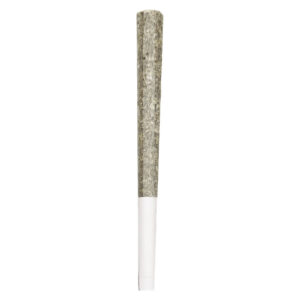 Fuel & Flower Cannabis