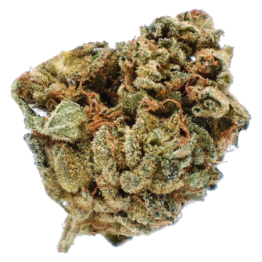 ORANGE LAYER CAKE - 7g