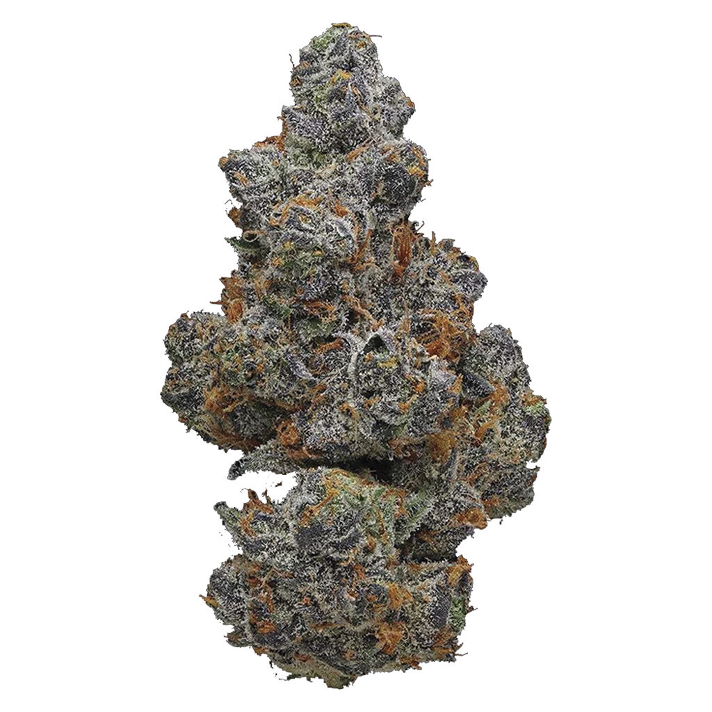 APPLE FRITTER - 7g