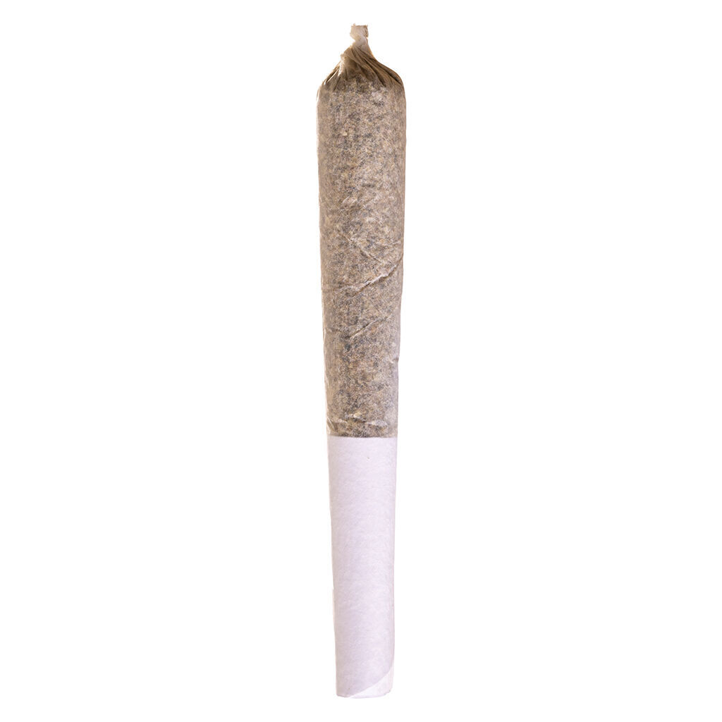 APPLE FRITTER PRE-ROLL - 1x0.5g