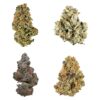 CANADA COLLECTION VARIETY OUNCE - 28g