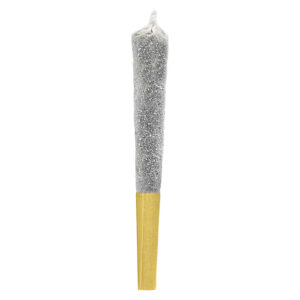 BANANA BREEZE INFUSED PRE-ROLL