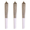 BLUEBERRY TART PRE ROLLS - 3x0.5g