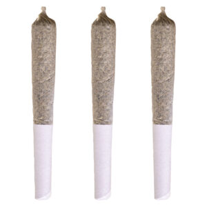 MAPLE PANCAKES PRE-ROLL