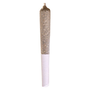 Fuel & Flower Cannabis