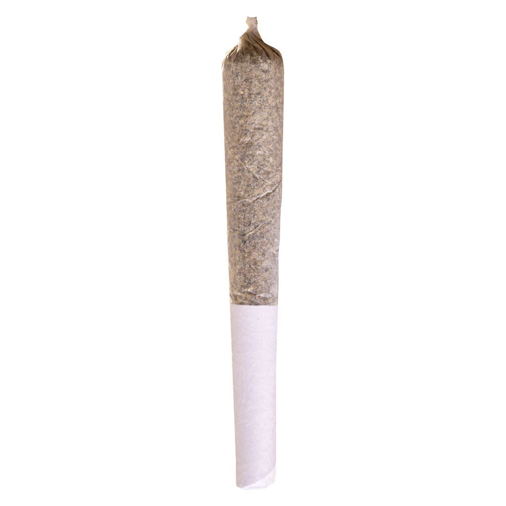 BEAVER TAIL PRE-ROLL