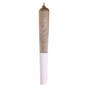 SUGAR SHACK PRE-ROLL - 1x0.5g