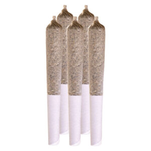 NORTHERN LIGHTS PRE-ROLL