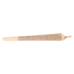 QUEEN OF TARTZ PRE-ROLL