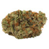 SLOW LANE INDICA