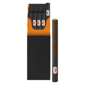 DBL DUTCH BLUNTS - 10x0.4g