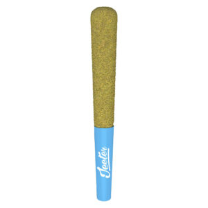 BLUEBERRY KUSH INFUSED PRE-ROLL - 1x1g