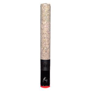 THE MAGNUM PRE-ROLL