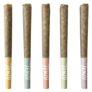 FUN STIX PRE-ROLL