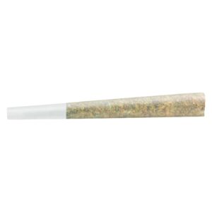 BLUE DREAM PRE-ROLL
