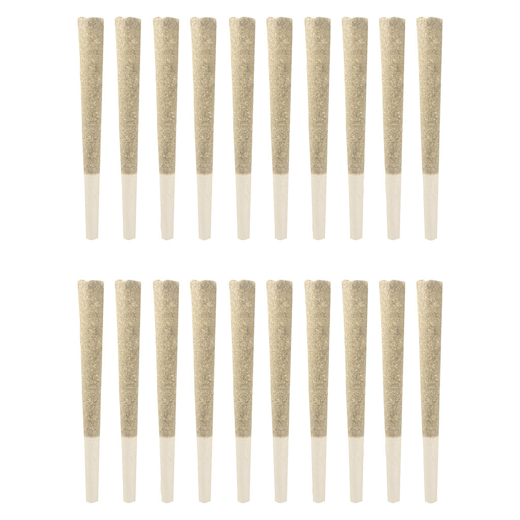 INDICASATIVA MIX PACK PRE-ROLL - 20x0.7g