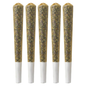 BETTER THAN YOUR TASTER PACK PRE-ROLL - 5x0.5g