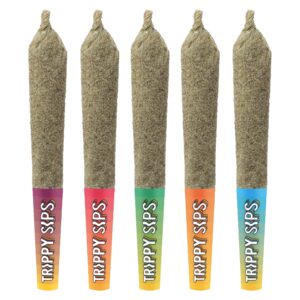 JUICY 5 VARIETY PACK INFUSED PRE-ROLL