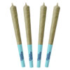 ARCTIC ICE PRE-ROLL