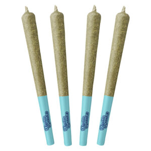 ARCTIC ICE PRE-ROLL
