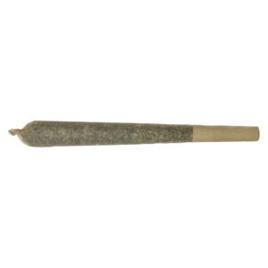ALIEN LIMEADE DISTILLATE INFUSED PRE-ROLL - 1x1g