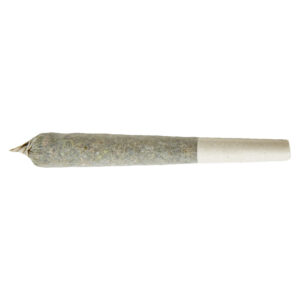UNICORN BLOOD DISTILLATE INFUSED PRE-ROLL - 1x1g