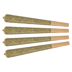 GALACTIC FIRE SATIVA PRE-ROLL 1X1G - 1x1g