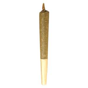 INDICA PRE-ROLLS- BUDDY BLOOMS