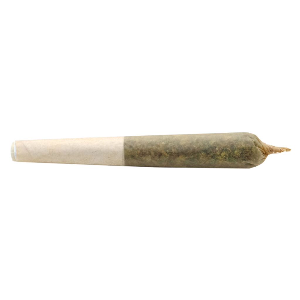 LIL BUDDY INDICA PRE-ROLL - 5x0.5g