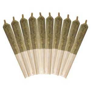 ETHOS GLUE PRE-ROLL