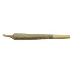 PINK ROZAY PRE-ROLL