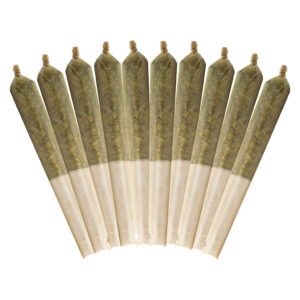 10TH PLANET PRE-ROLLS