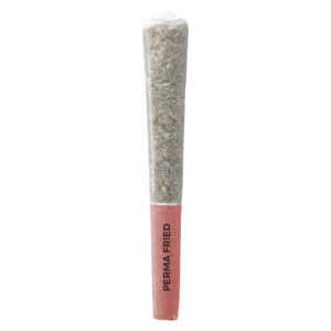 Fuel & Flower Cannabis
