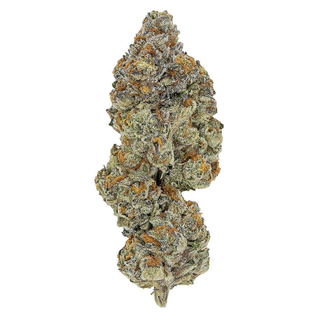 LSO COLLECTION: BLUEBERRY VENDETTA